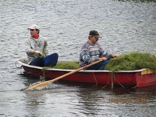 Arbeitseinsatz im Schwimmbad