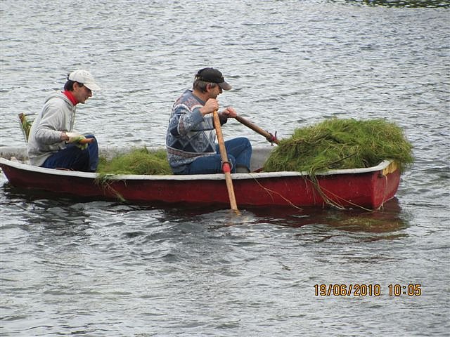 Arbeitseinsatz im Schwimmbad