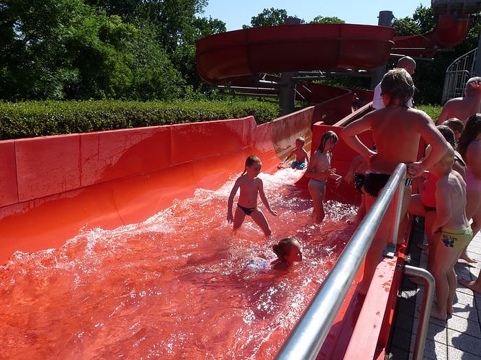 Seepferdchen erhalten