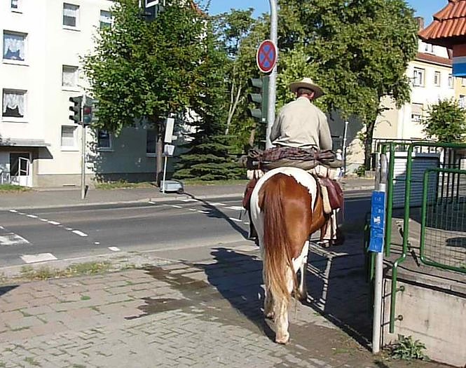 Pferd in der Stadt
