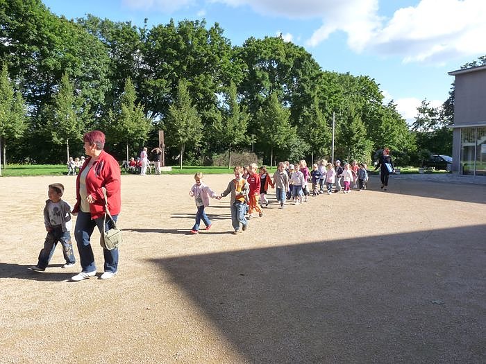 Der Froschk&ouml;nig