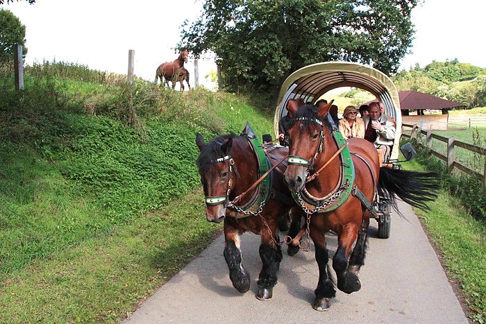 Fahrt nach Falkenstein
