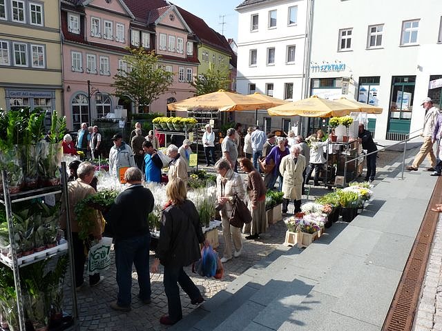 Herbstpflanzenmarkt