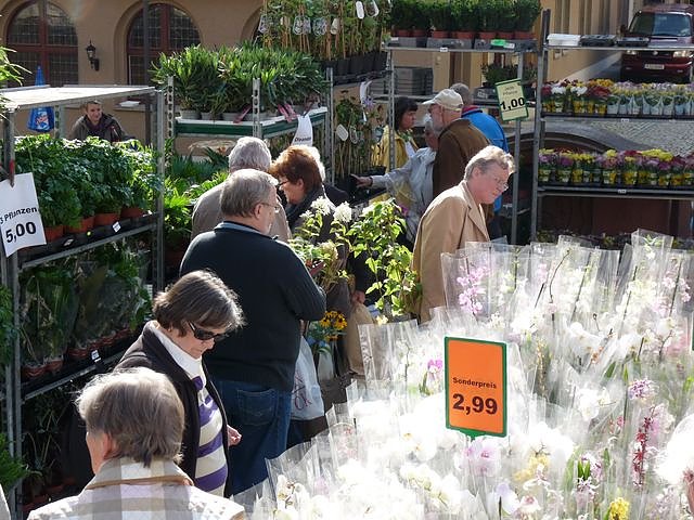 Herbstpflanzenmarkt