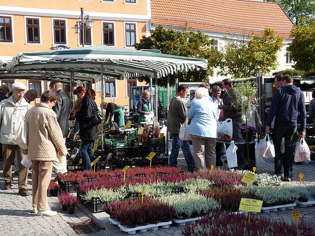 Herbstpflanzenmarkt