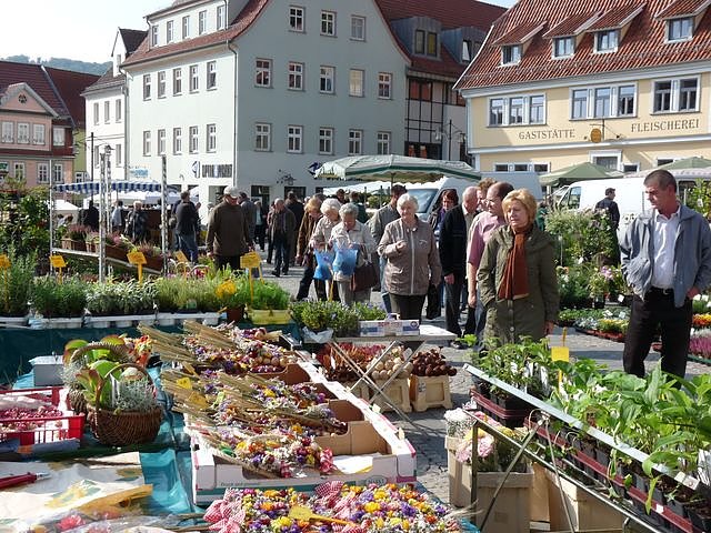 Herbstpflanzenmarkt
