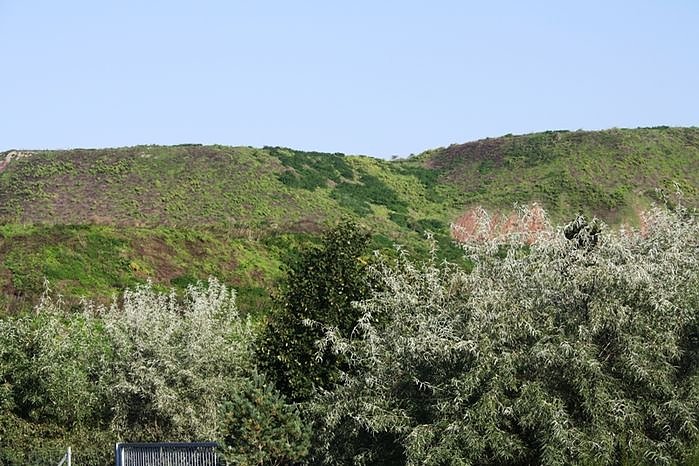 Geotop Haldenbefahrung