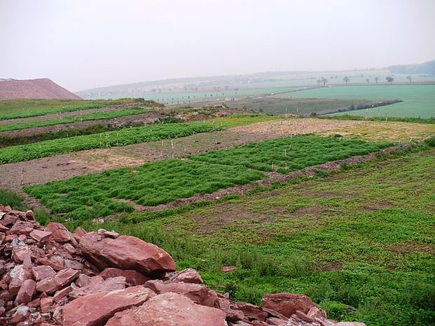 Geotop Haldenbefahrung