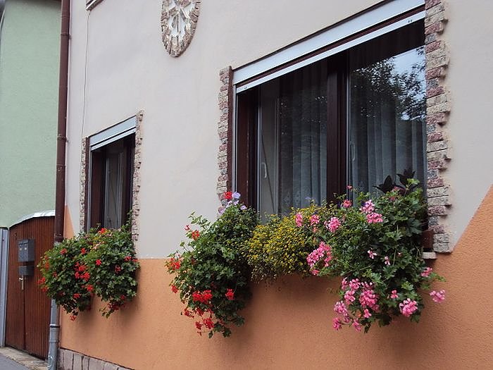 Frankenh&auml;user Bl&uuml;tensommer