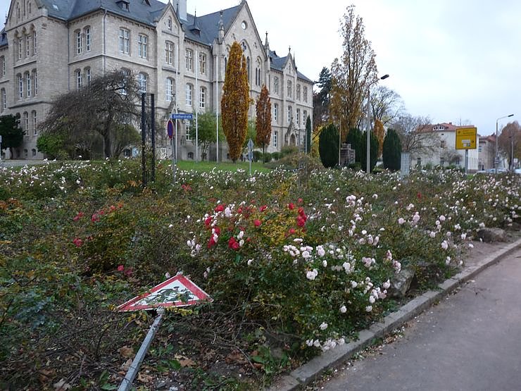Legende Stadtcaf&eacute; Sondershausen wiederer&ouml;ffnet