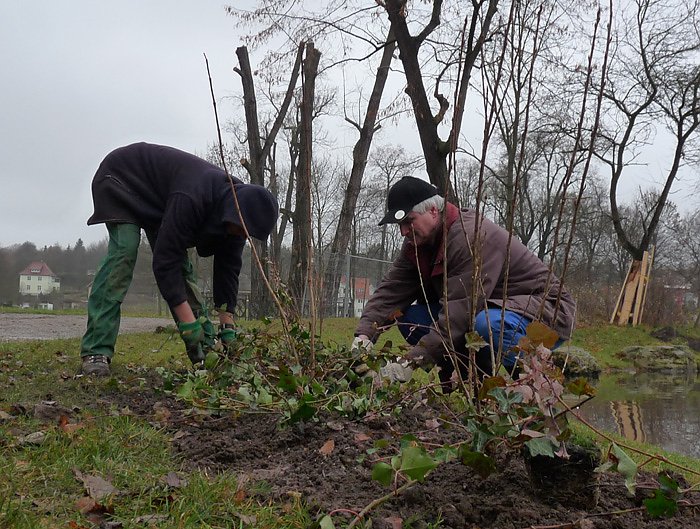 Selle im Landschaftsbau