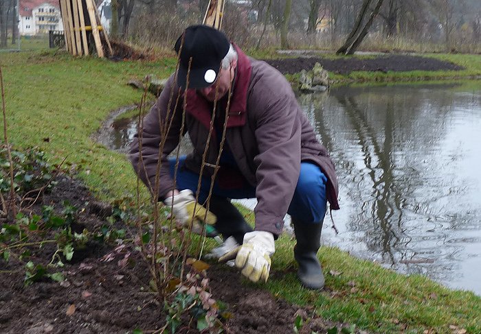 Selle im Landschaftsbau
