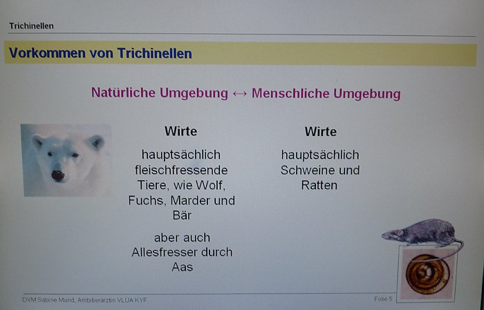 Trichinenlabor offen