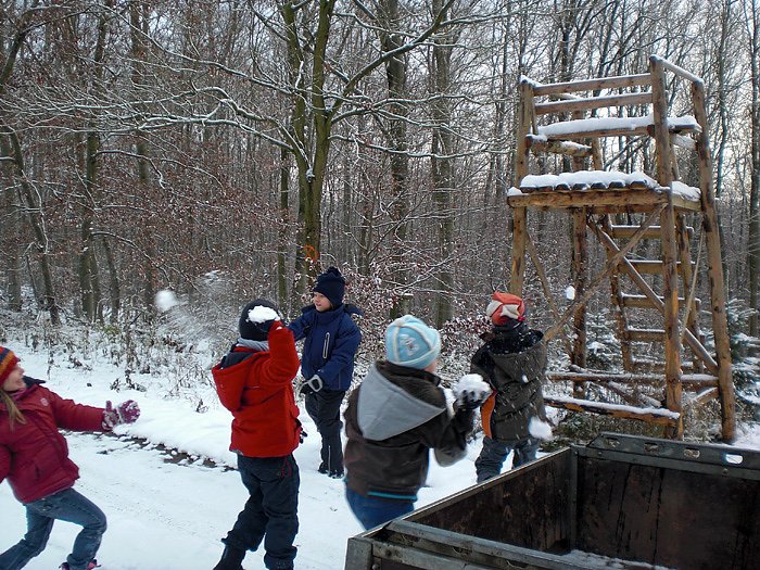 Tannenbaum im Winterwald