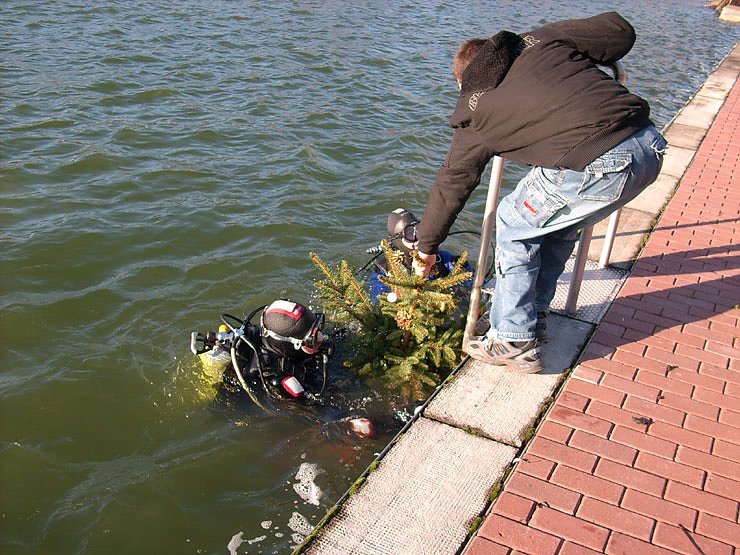 Weihnachtsbaum wieder gefunden