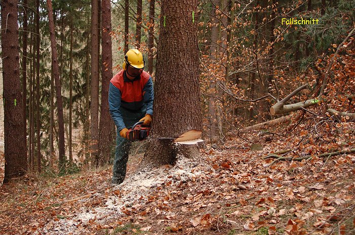 Aus- und Weiterbildung von Waldbesitzern