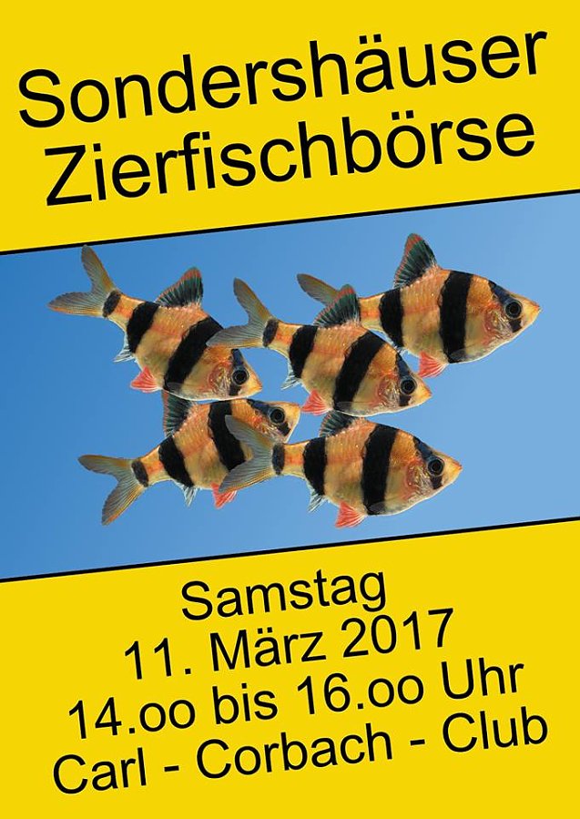 Bild: Tipps