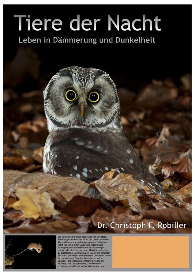 Bild: Tiere der Nacht