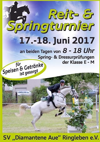 Bild: Am Wochenende Reitturnier in Ringleben