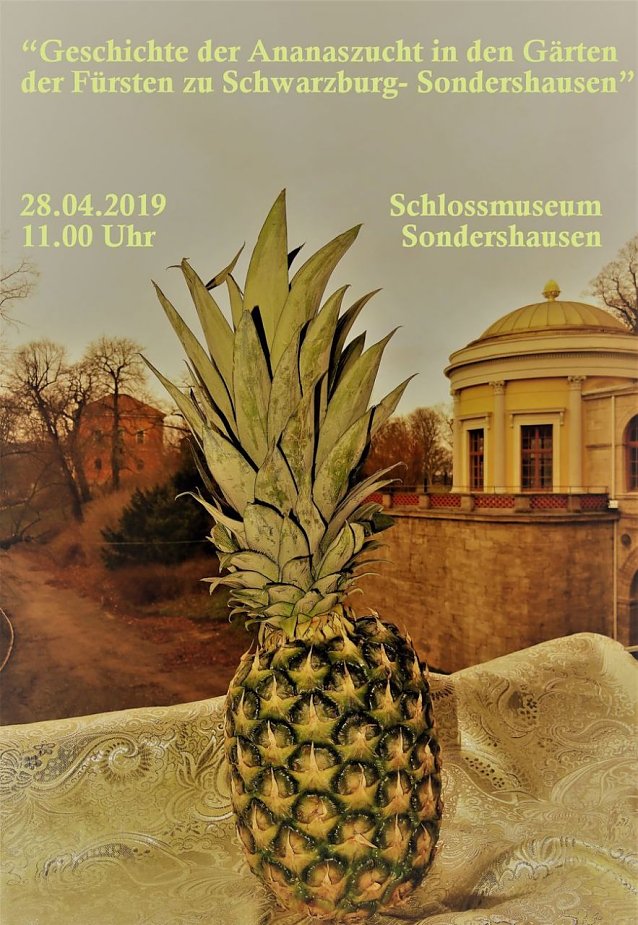 Bild: Ananasf&uuml;hrung im Schloss