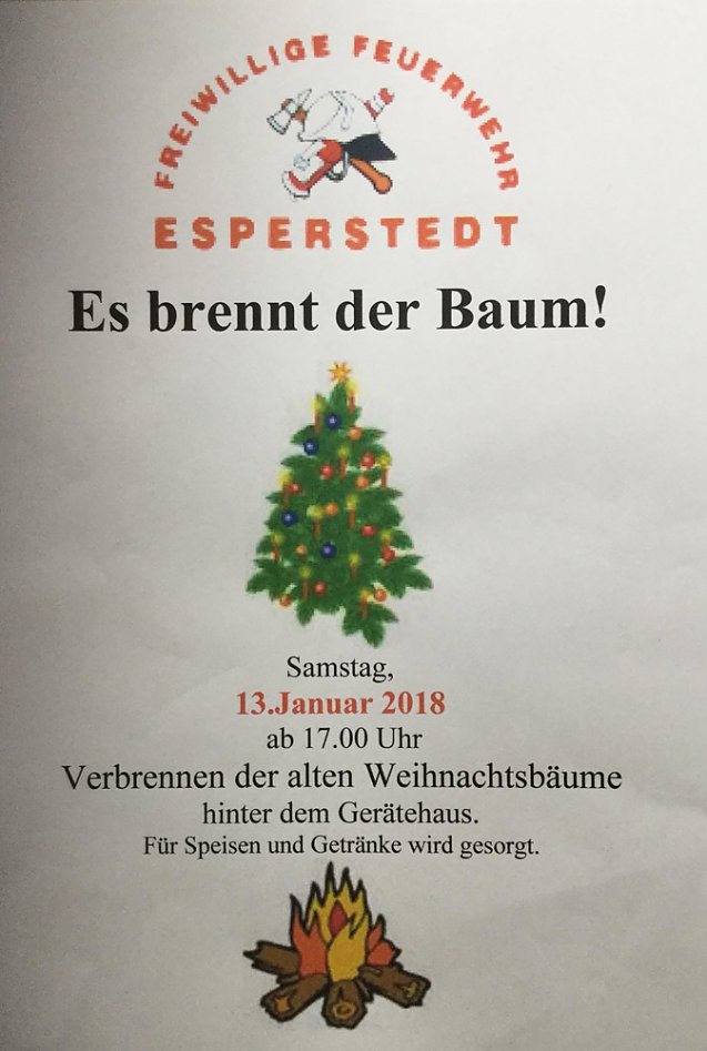 Bild: Es brennt der Baum