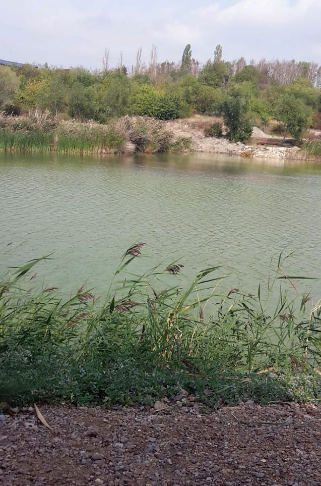 Bild: Der Wasserstand steigt
